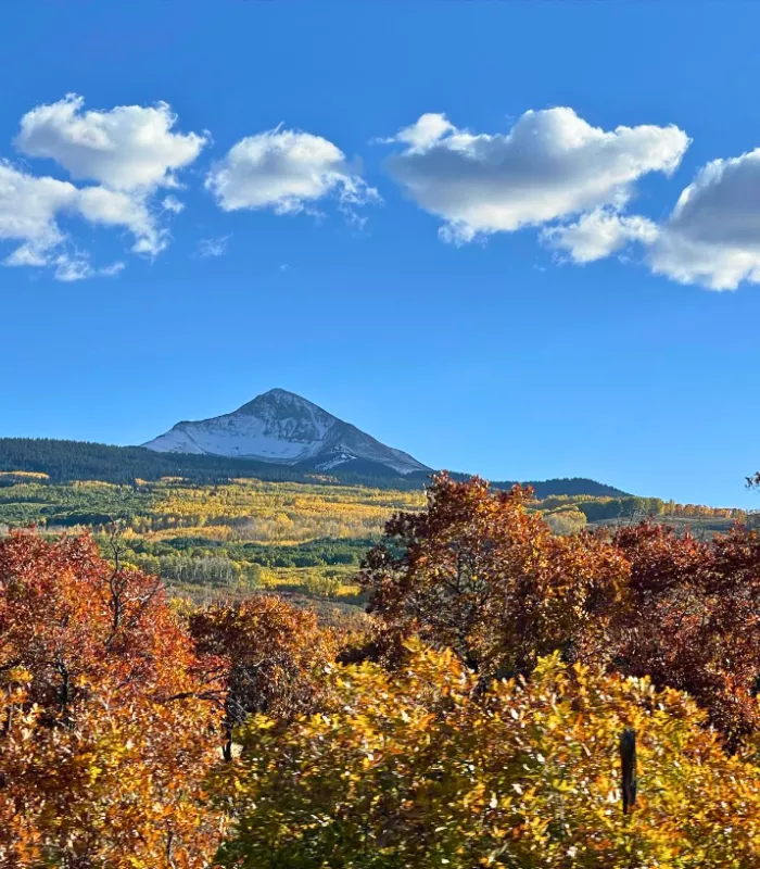 Norwood Colorado.webp