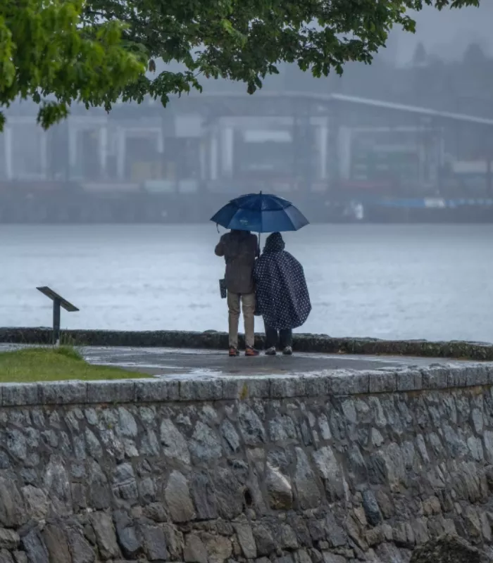 November Rain Season