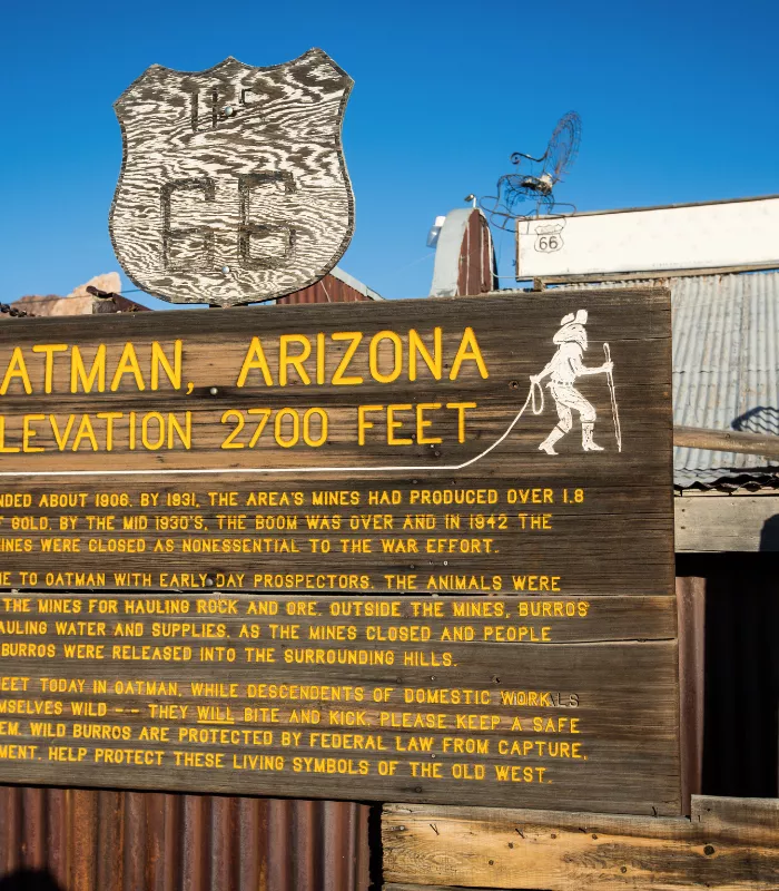 Oatman Arizona.webp