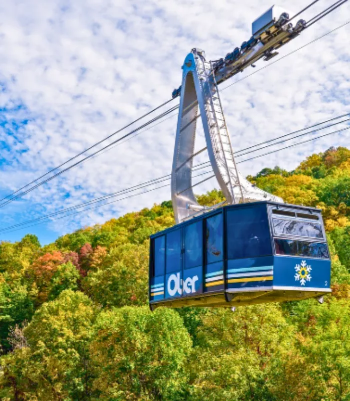Ober Gatlinburg Ski Resort