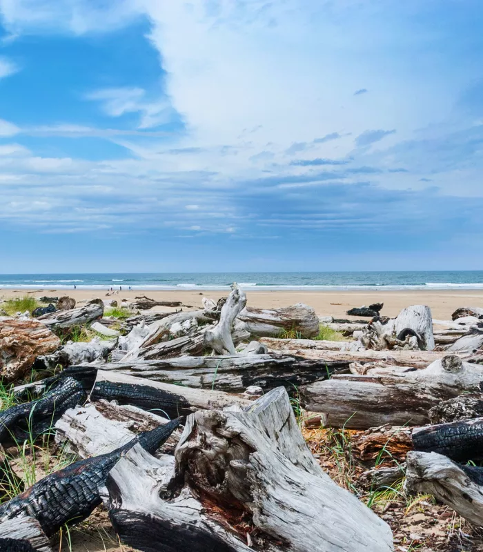 Oregon Dunes National Recreation Area