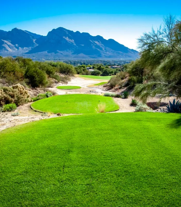 Oro Valley Arizona
