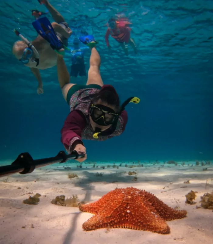 Overpriced Snorkel Tour