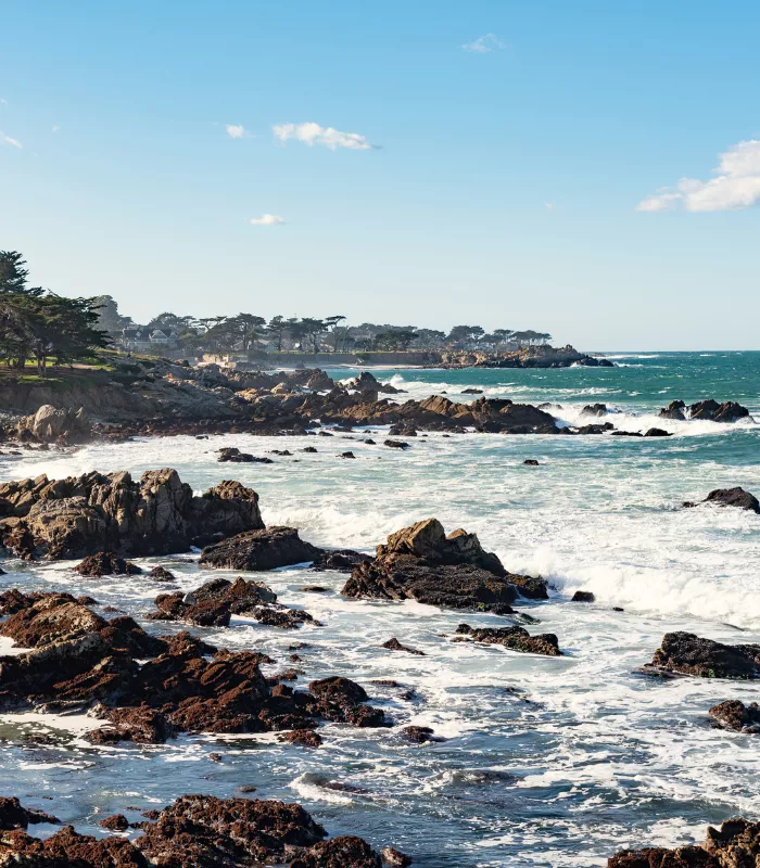 Pacific Grove California.webp