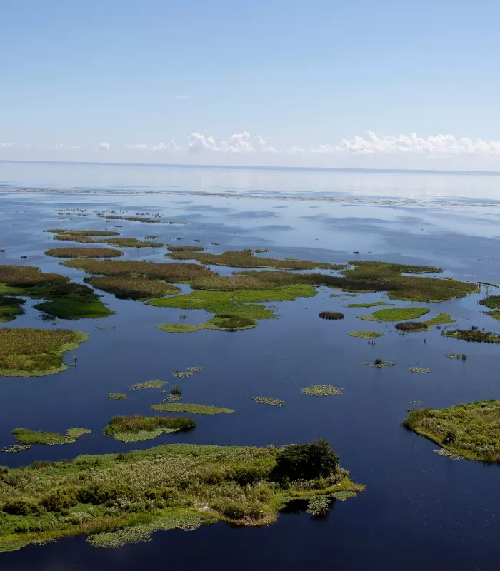 Pahokee Florida.webp