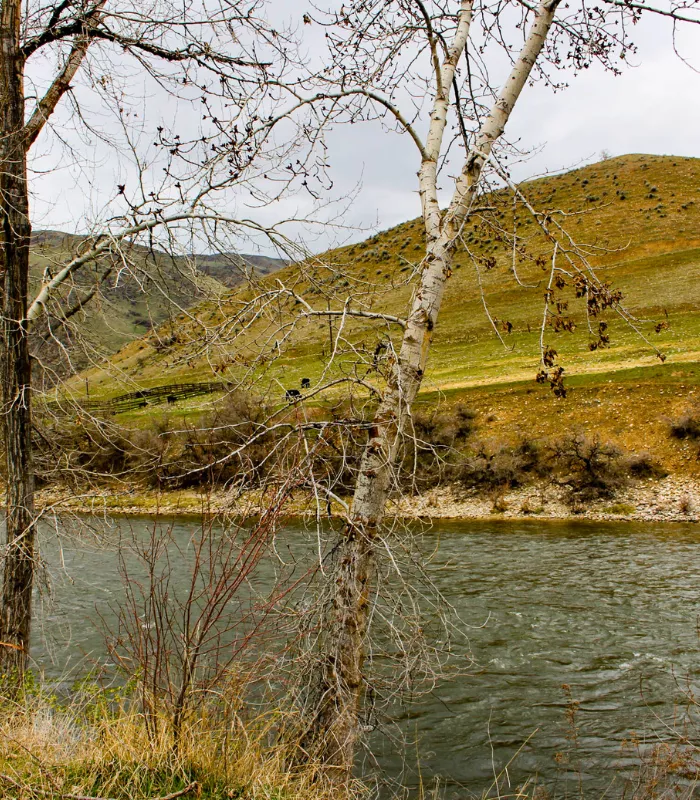 Payette Idaho.webp
