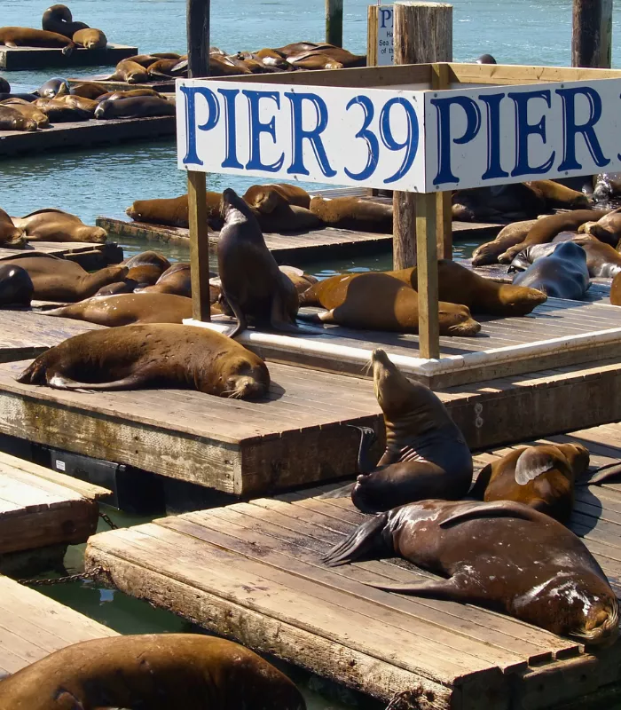 Pier 39 San Francisco