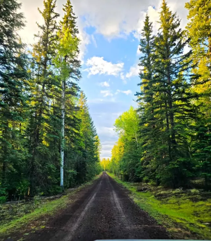 Pinetop Lakeside Arizona