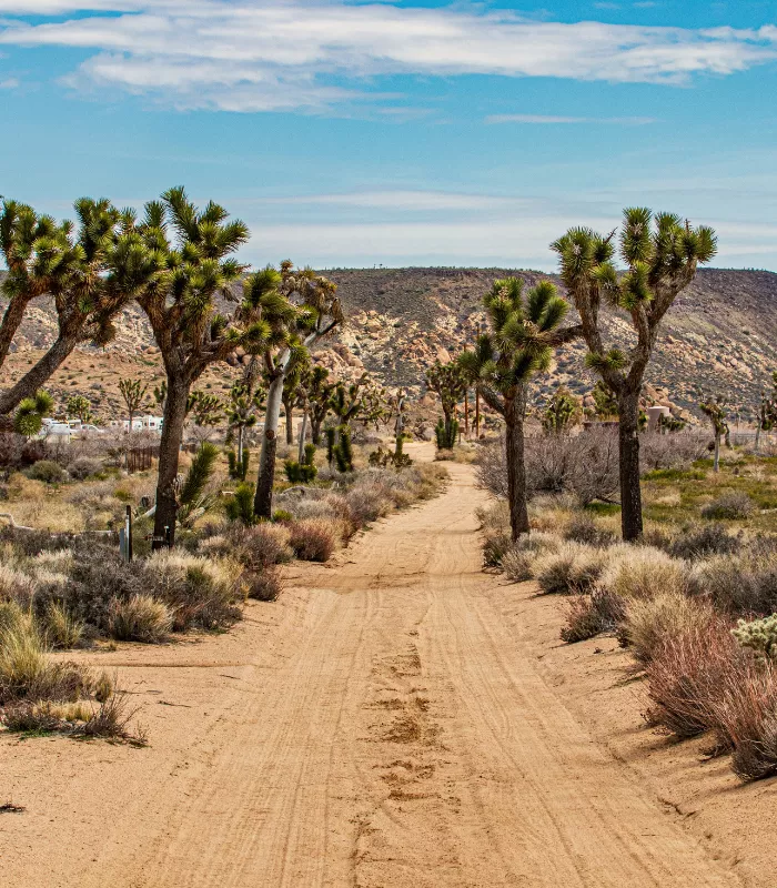 Pioneertown California.webp