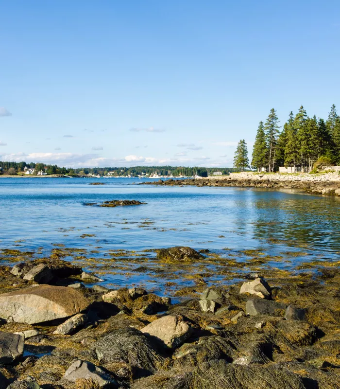 Port Clyde Maine.webp