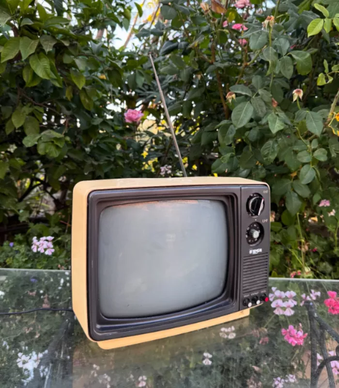 Portable Black and White TVs