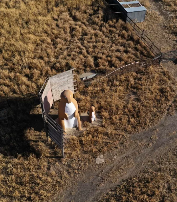 Prairie Dog Town Oakley