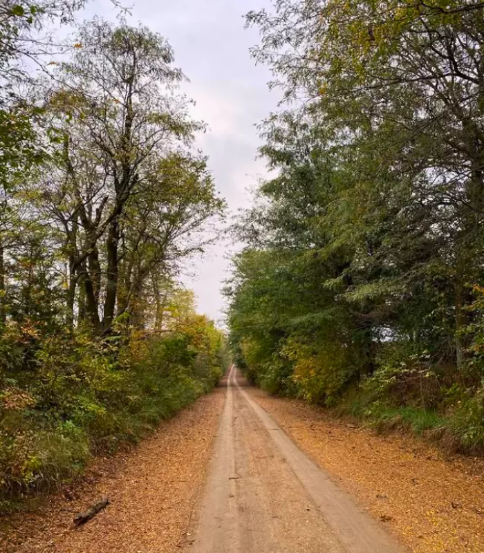 Preparation Canyon State Park Iowa