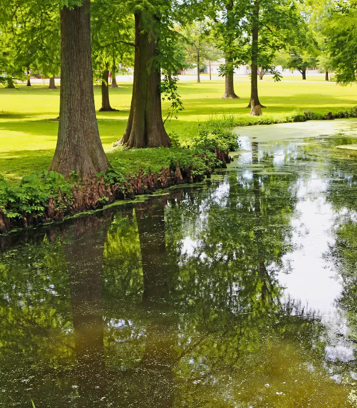 Reelfoot Lake State Park