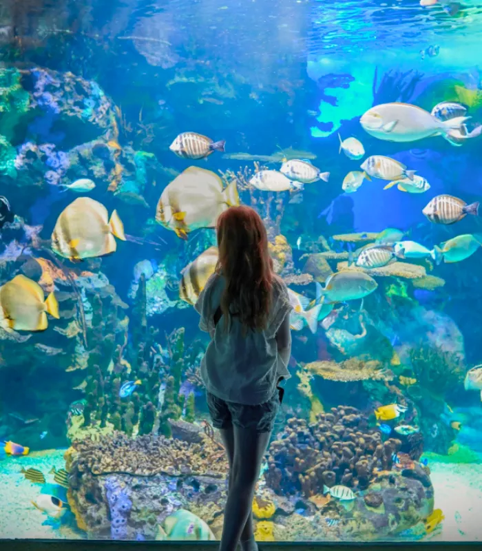 Ripleys Aquarium of Canada