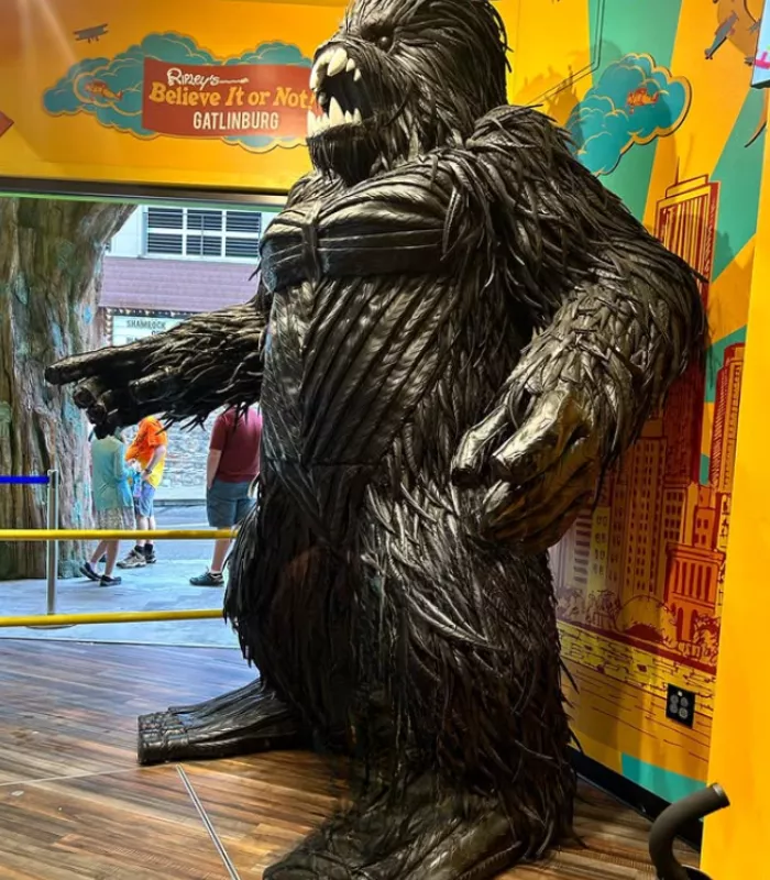 Ripleys Believe It or Not Attractions Gatlinburg