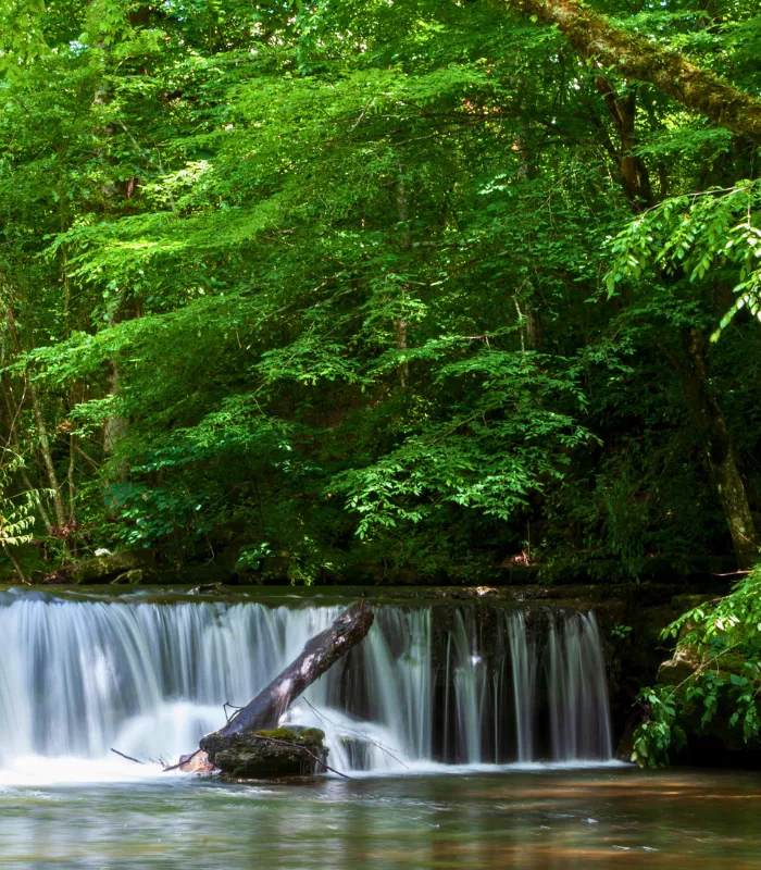 Rutledge Tennessee