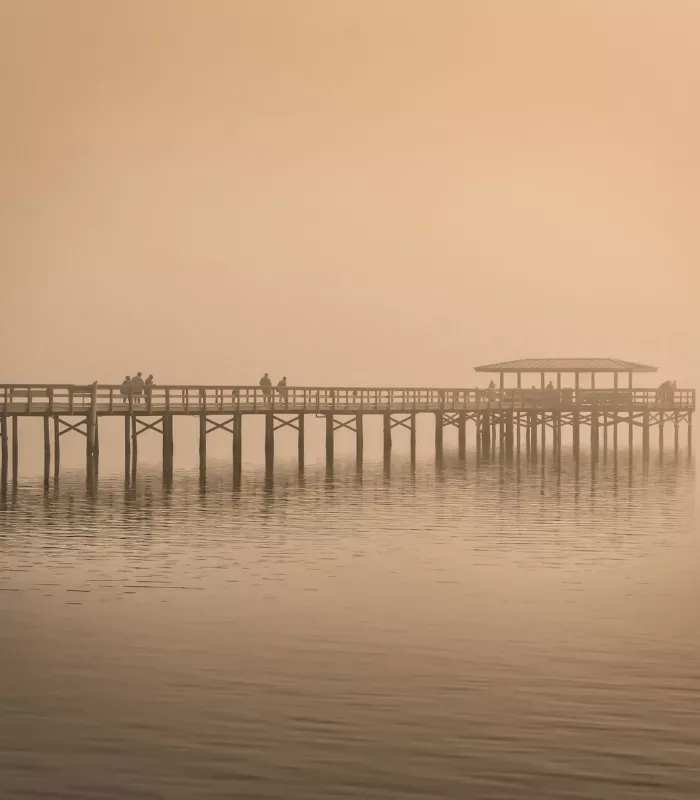 Safety Harbor FL.webp