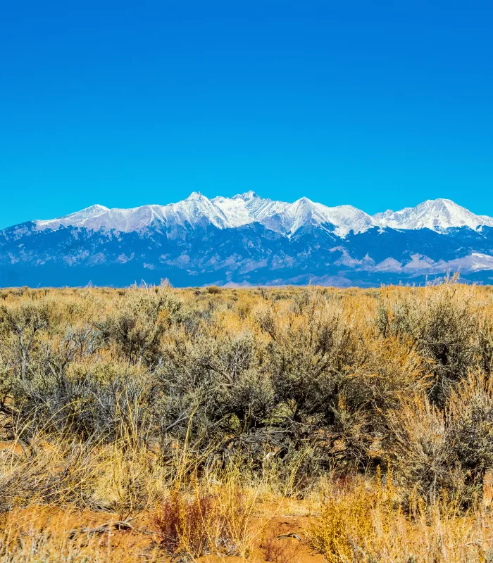 San Luis Colorado.webp