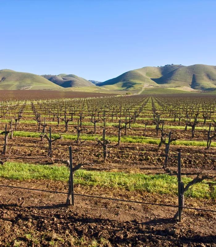 Santa Maria CA.webp