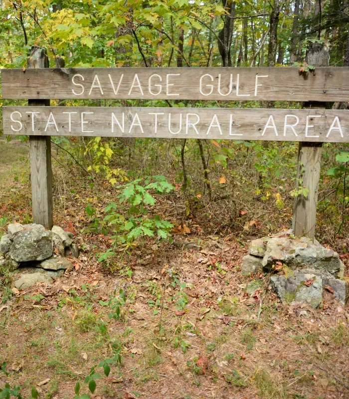 Savage Gulf State Natural Area