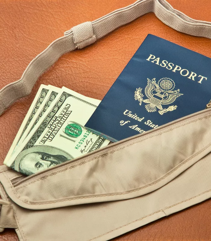 Secure Money Belt