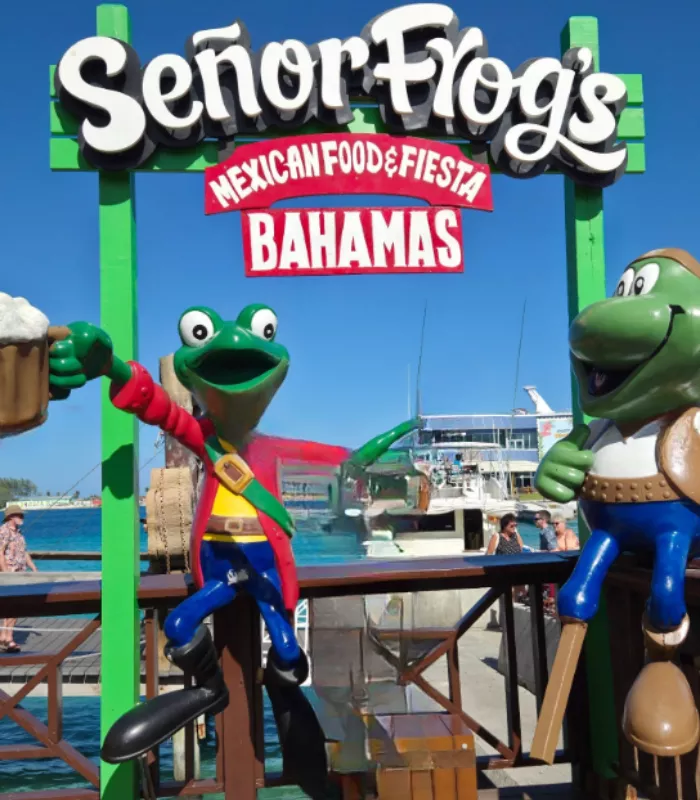 Senor Frogs or Margaritaville Visit