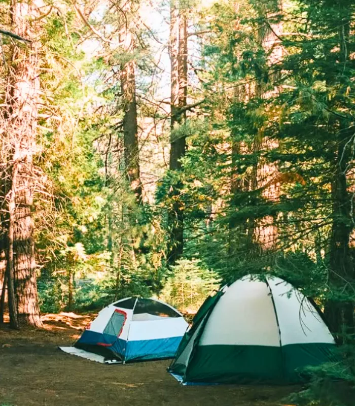 Sequoia National Park Campgrounds
