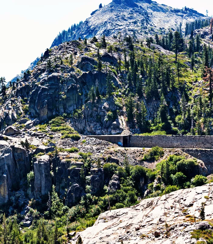 Sierra Railroad Dinner Train.webp