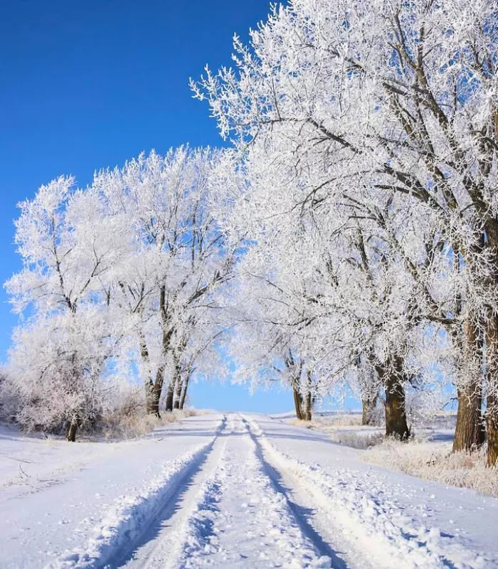 Silos and Smokestacks National Heritage Area Iowa