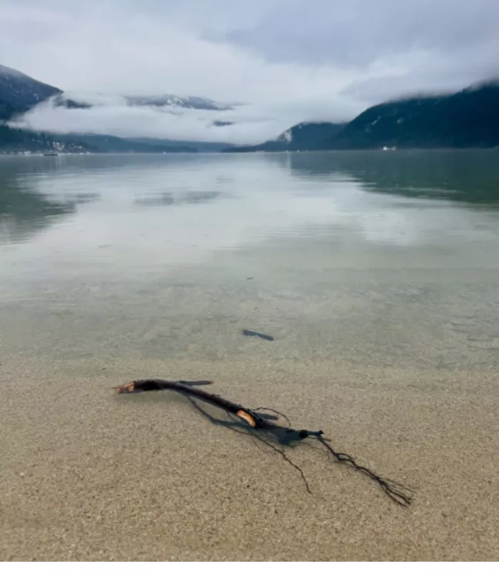 Six Mile Beach Kootenay Lake