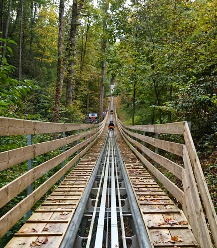 Smoky Mountain Alpine Coaster