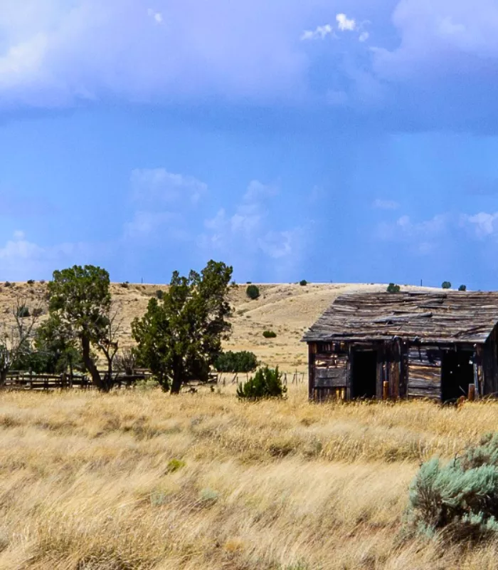 Snowflake Arizona.webp