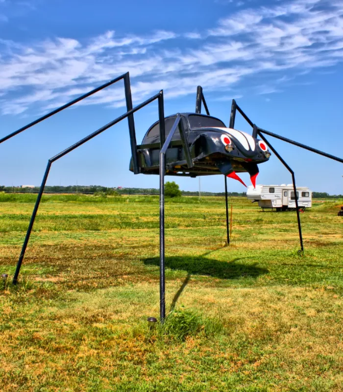 Spider VW Bug