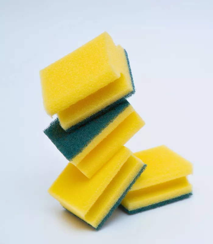 Sponges