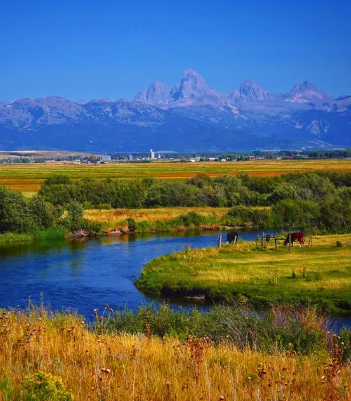 Tetonia Idaho