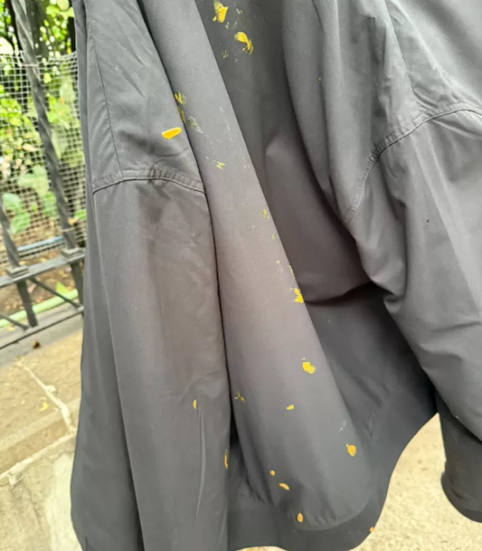 The Bird Poop or Mustard Distraction Scam