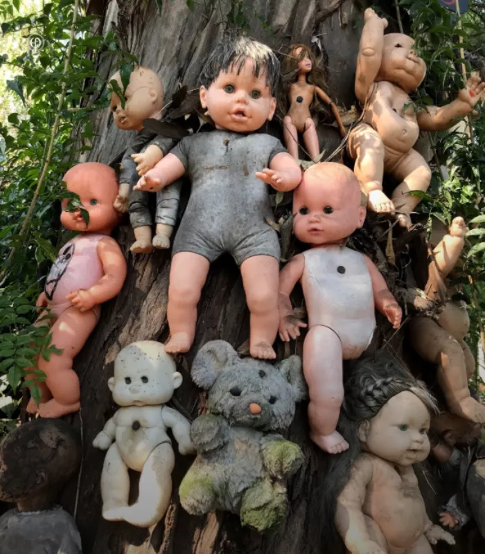 The Fake Doll Island Tour