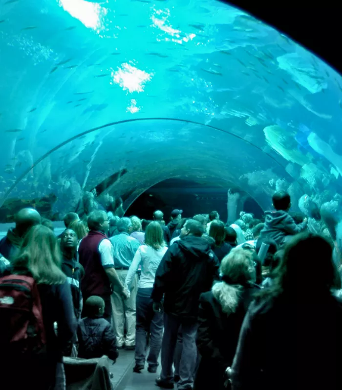 The Georgia Aquarium Georgia