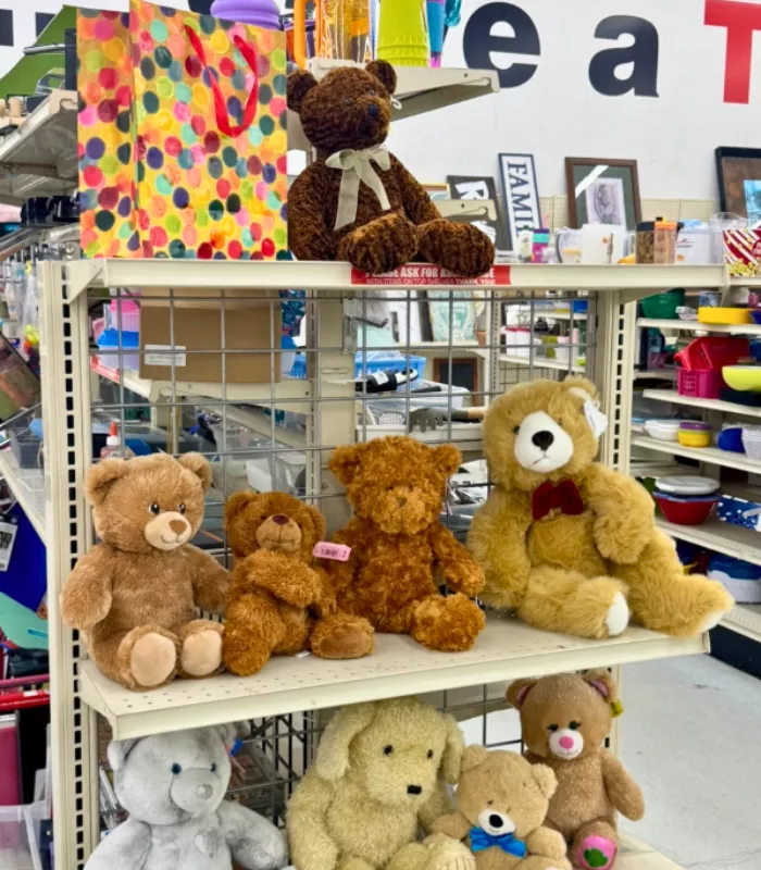 Thrift Stores With Rude Staff