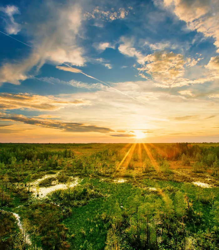 Valdosta Georgia.webp