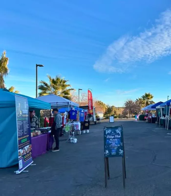 Vintage Vibes Flea Market