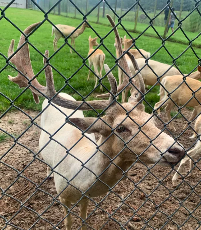 Waccatee Zoological Farm Myrtle Beach