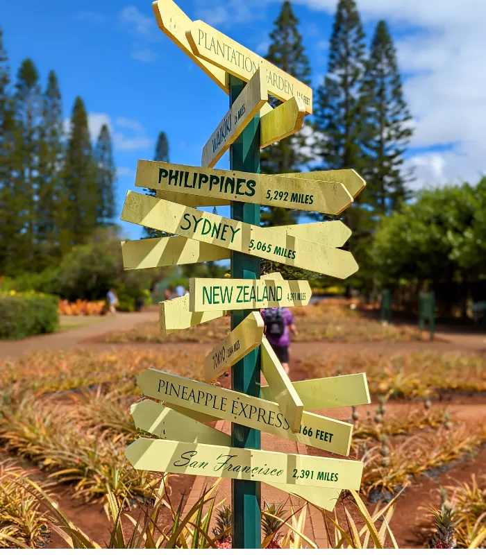 Wahiawa Hawaii.webp