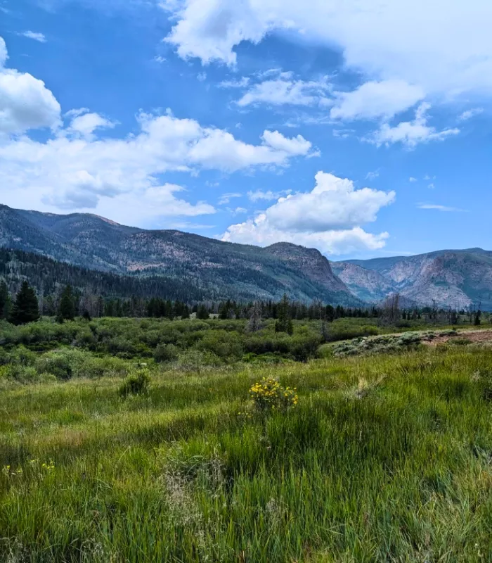 Walden Colorado.webp