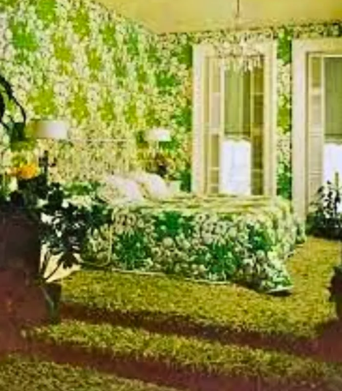 Wall to Wall Shag Carpeting