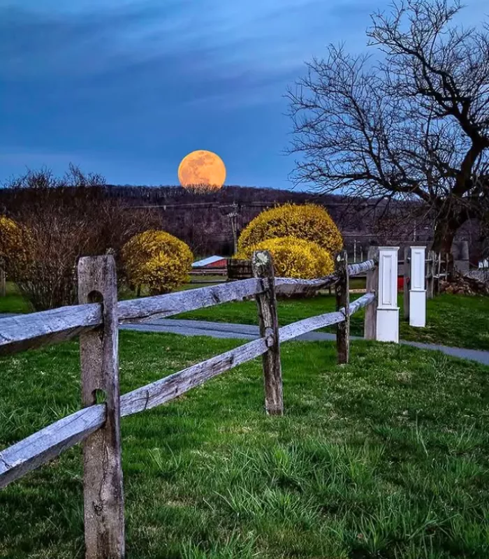 Wallingford Connecticut