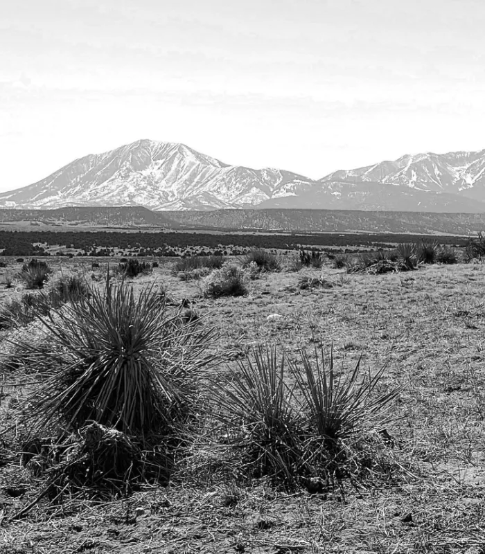 Walsenburg Colorado.webp