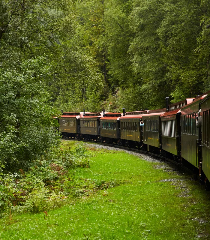 White Pass Railway.webp
