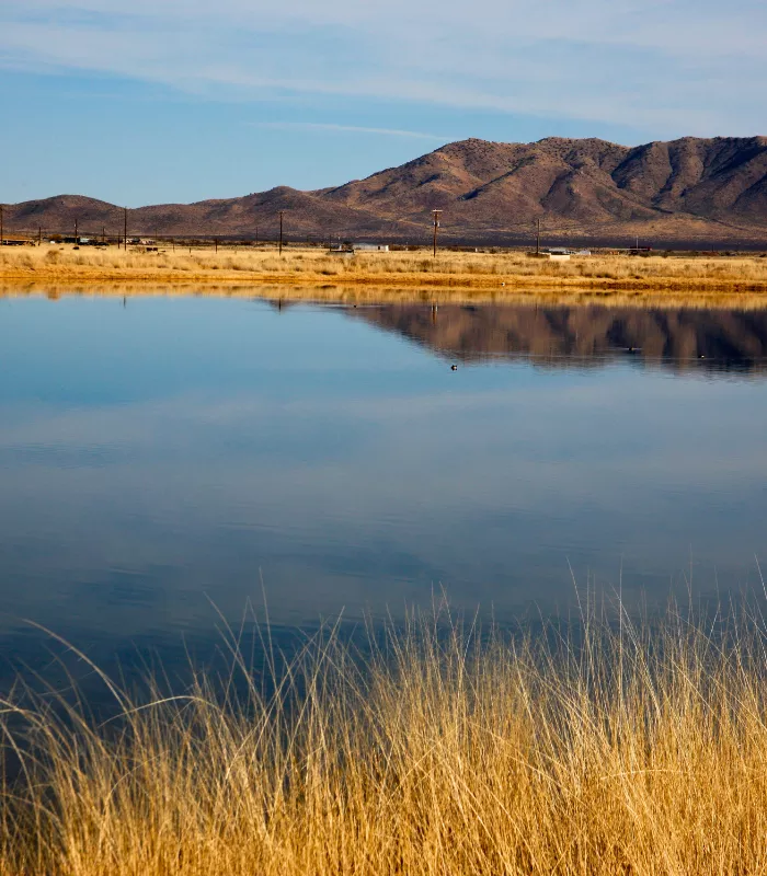 Willcox Arizona.webp